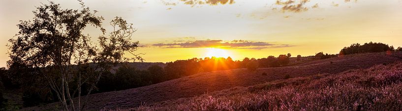 Posbank Rheden par Roy Manuhutu
