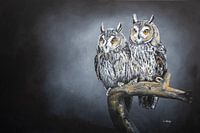 Hiboux sur fond sombre à l'huile