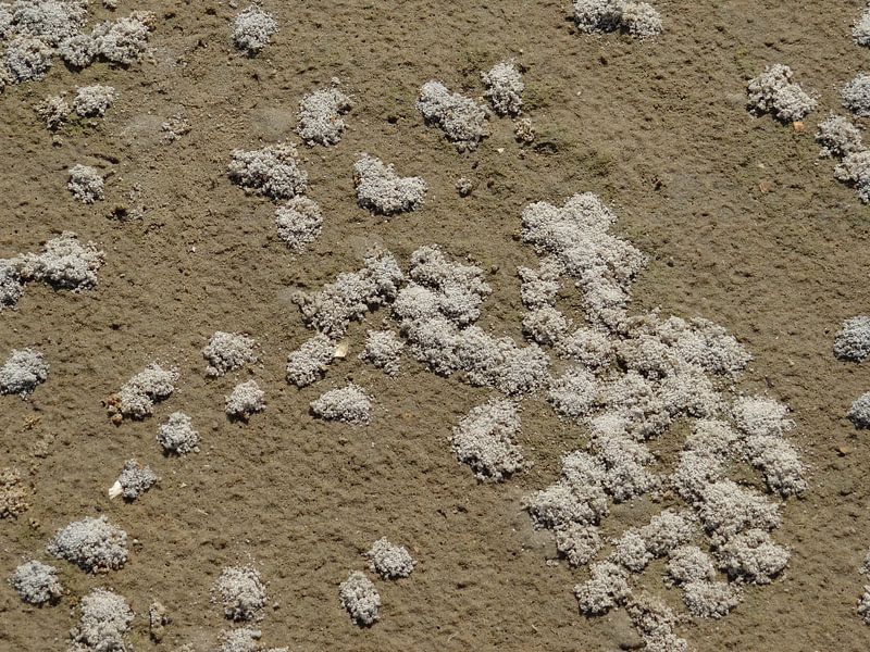 Slufter close 2 by addy de meij