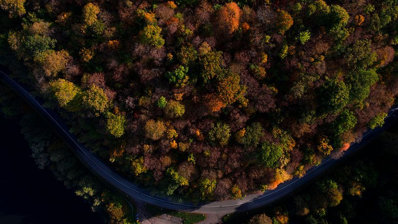 Luftbild bunter Wald mit Straße von Kelvin Middelink