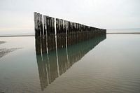 Row of breakwaters in the sea in Holland