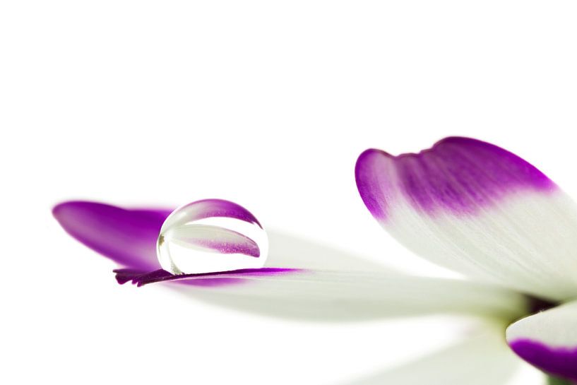 Reflexion von Tanja van Beuningen