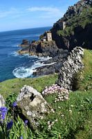 Bâtiments industriels de l'ancienne industrie minière sur la côte anglaise accidentée, avec des fleu