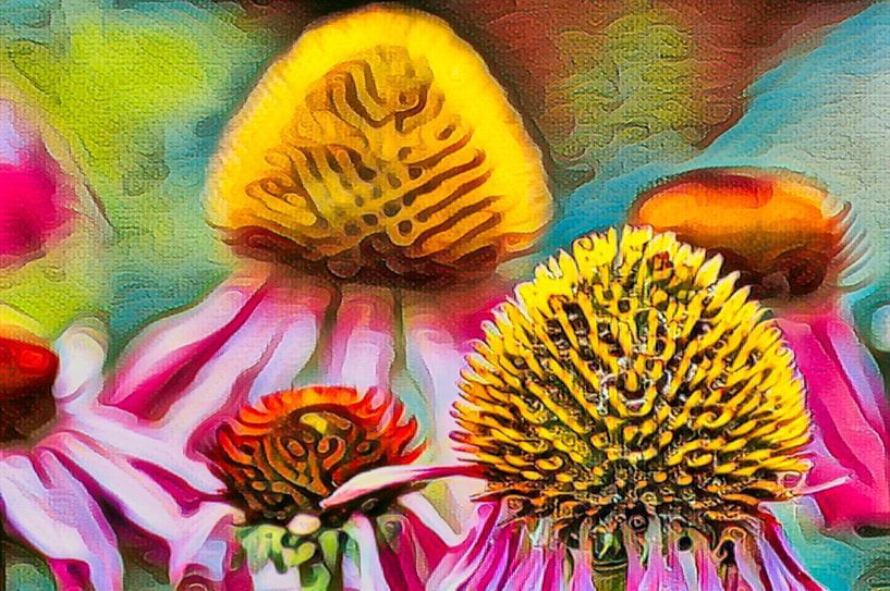 Echinacea, le tournesol rouge par Anja Oosterwaal Fine Art Fotografie