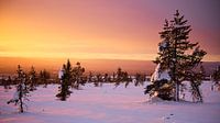 Sunset in the snow