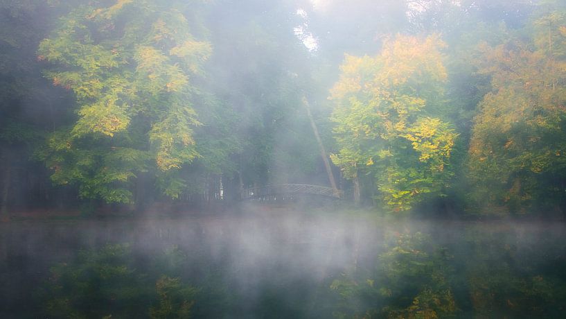 Passerelle dans le brouillard par Rob Sprenger
