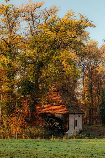 Die Twickeler Windmühle im Herbst von Arnoud van der Aart