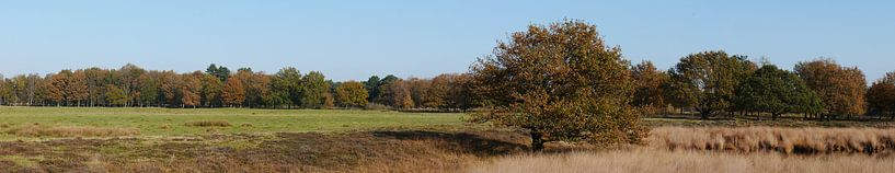 Dwingelderveld von Wim vd Neut