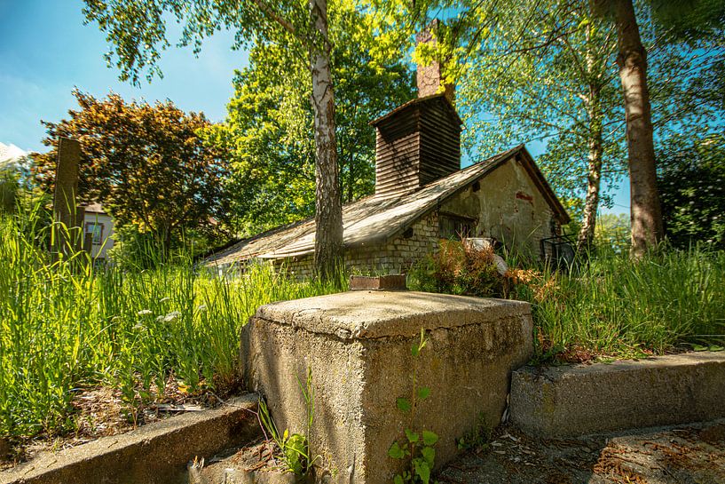 Dans Chmenitz par Johnny Flash