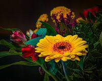 Fleurs Plantes Bouquet Printemps