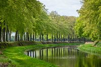 Le cours du ruisseau