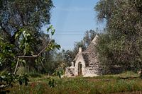 Trulli Puglia