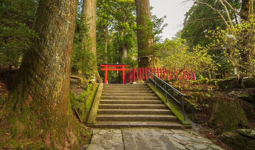 Hakone - Lake Ashi - Hakone Shrine (Japan) by Marcel Kerdijk