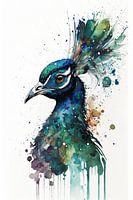 Paon - Aquarelle