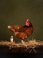 La poule aux œufs d'or (1)