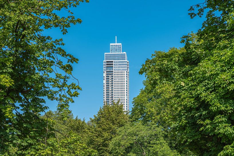 Vue sur les Zalmhavenentoren depuis Het Park à Rotterdam par MS Fotografie | Marc van der Stelt