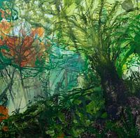 Mit Doongalla verloren