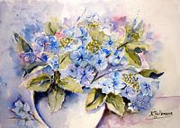 Hortensien in der Vase