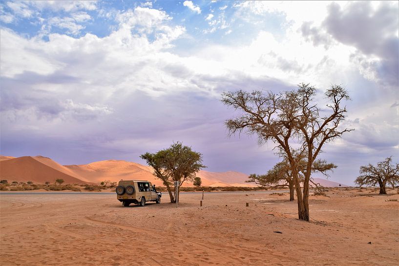 Namibia von Hermineke Pijls