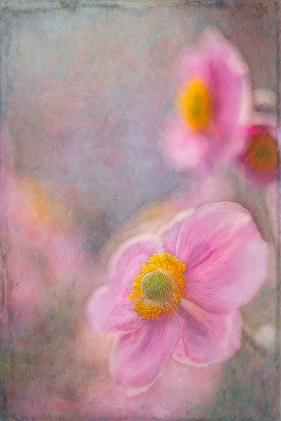 Romance in the garden by Francis Dost