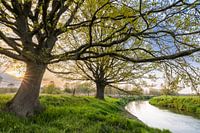 Sun casts its final rays over the Dijle river