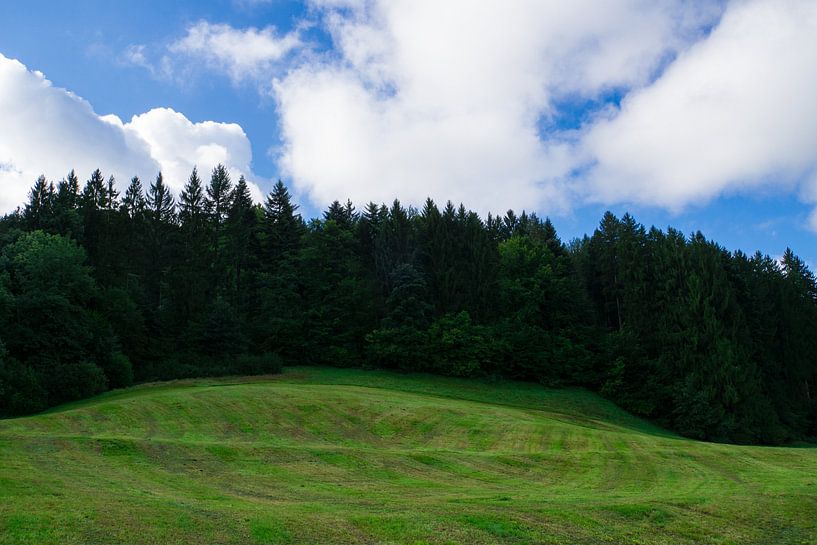 Rand des Schwarzwaldes bei Freiburg in Deutschland von adventure-photos