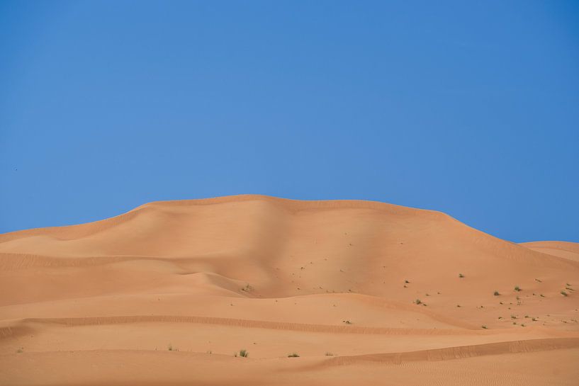Dune de sable à Al Ain par Pieter van Roijen