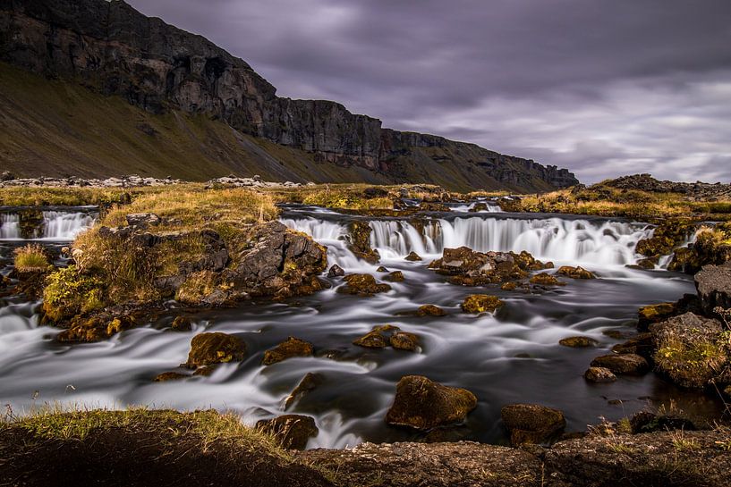 Foss à mi-chemin Li La Lo par Cindy Dijksman
