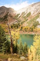 Gelb, Grün und Blau-Grün