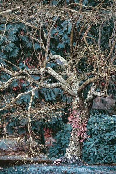 Je me tiens ici par Lars van de Goor