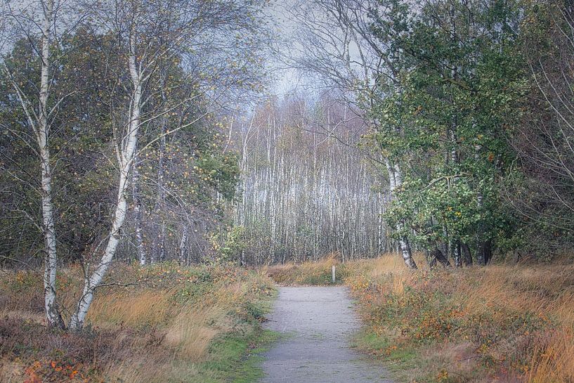 Herstbos van Mireille Breen