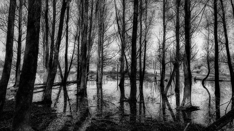 Horsterwold von Bart Uijterlinde