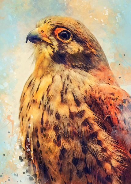 Turmfalke Vogel Aquarell Kunst #kestrel von JBJart Justyna Jaszke