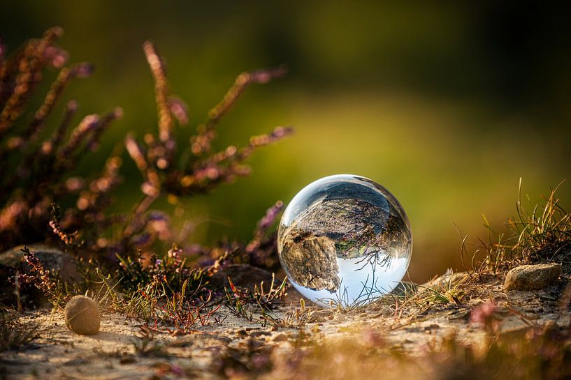 Die Glaskugel von Steffen Henze
