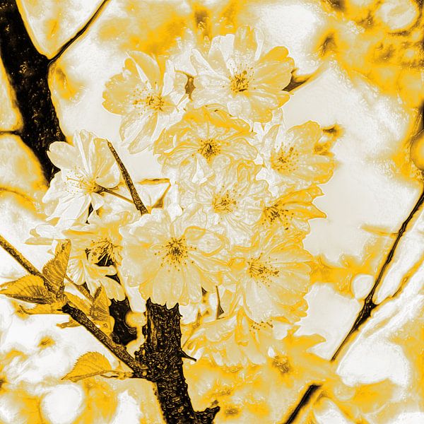 Digital Art Medium Flowers Plants Blossom by Hendrik-Jan Kornelis