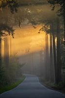 Die schönste Straße der Niederlande