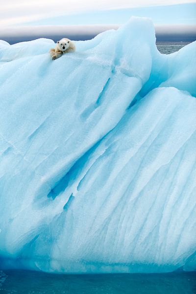 Observer par Joan Gil Raga