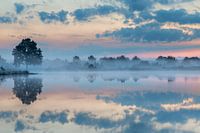 Arbres réfléchissant dans l'eau, Aekingerzand