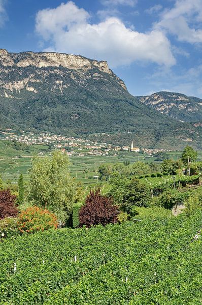 Blick auf Kaltern an der Weinstrasse von Peter Eckert