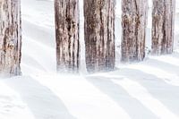 Paalhoofd met waaiend zand