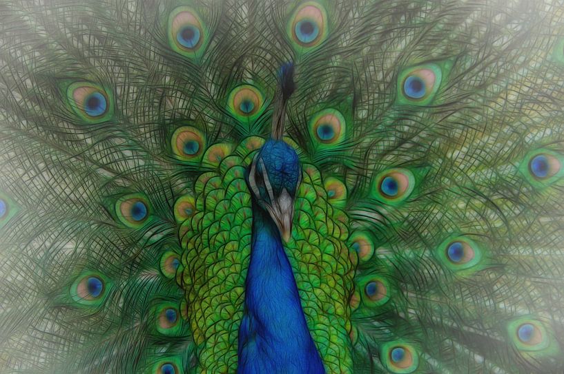 Paon coloré par Michar Peppenster