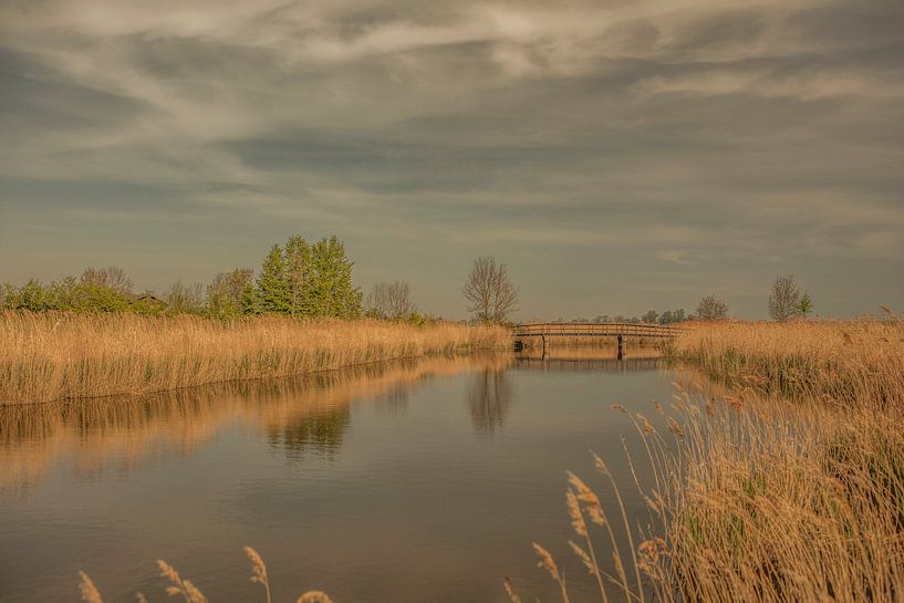 lächeln zeeland, walcheren von anne droogsma