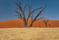 Deadvlei - Namibia