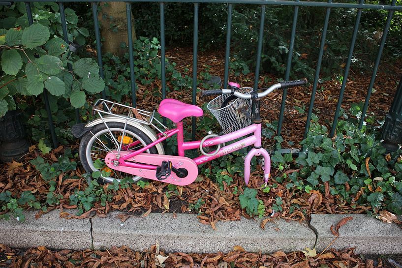 rosa Kinderfahrrad von Ard Edsjin
