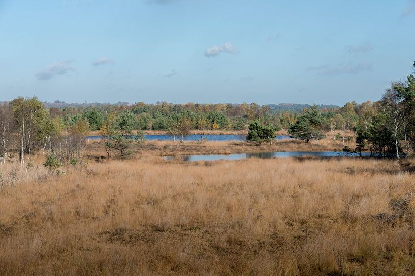 het gilderhauser venn natuur en wandelgebied by ChrisWillemsen