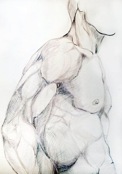 Drawing of a man's torso. by Therese Brals