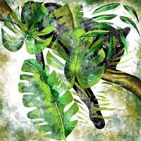 Jaguar - De zwarte jager van de jungle