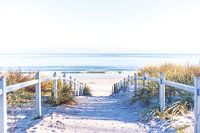 Un chemin vers la plage