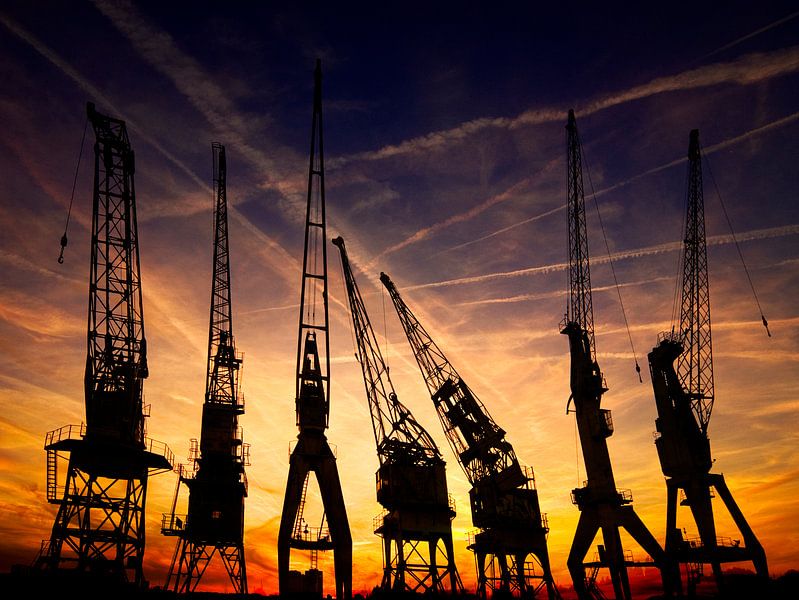 Kranendans par Roel Boom