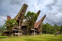 Toraja houses in Indonesia.